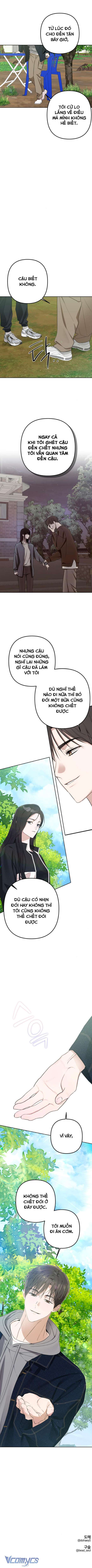 Bóng Râm Mùa Xuân: Chapter 4