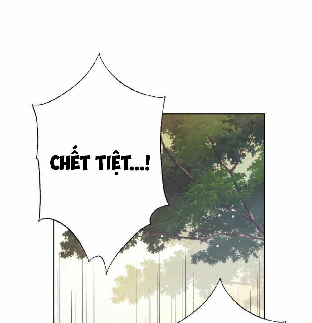 Cách Hiệp Sĩ Sống Như Một Tiểu Thư Quyền Quý: Chapter 34