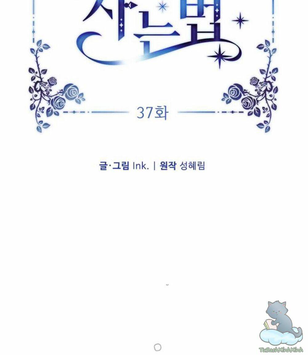 Cách Hiệp Sĩ Sống Như Một Tiểu Thư Quyền Quý: Chapter 37