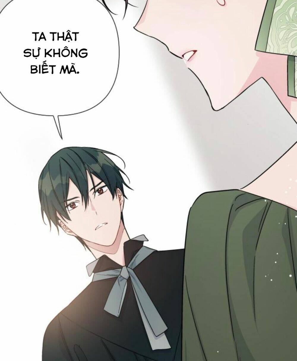 Cách Hiệp Sĩ Sống Như Một Tiểu Thư Quyền Quý: Chapter 39