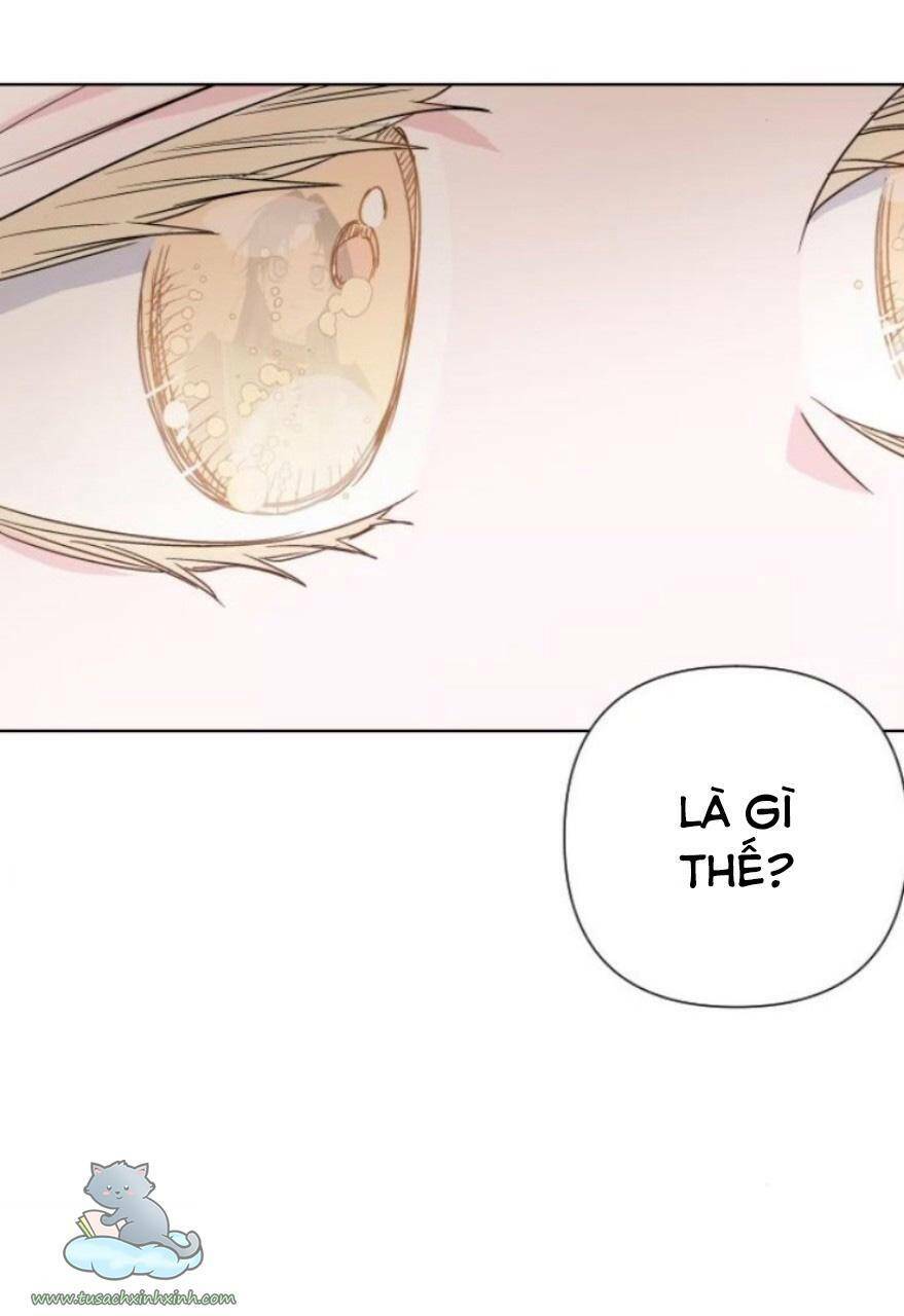 Cách Hiệp Sĩ Sống Như Một Tiểu Thư Quyền Quý: Chapter 50