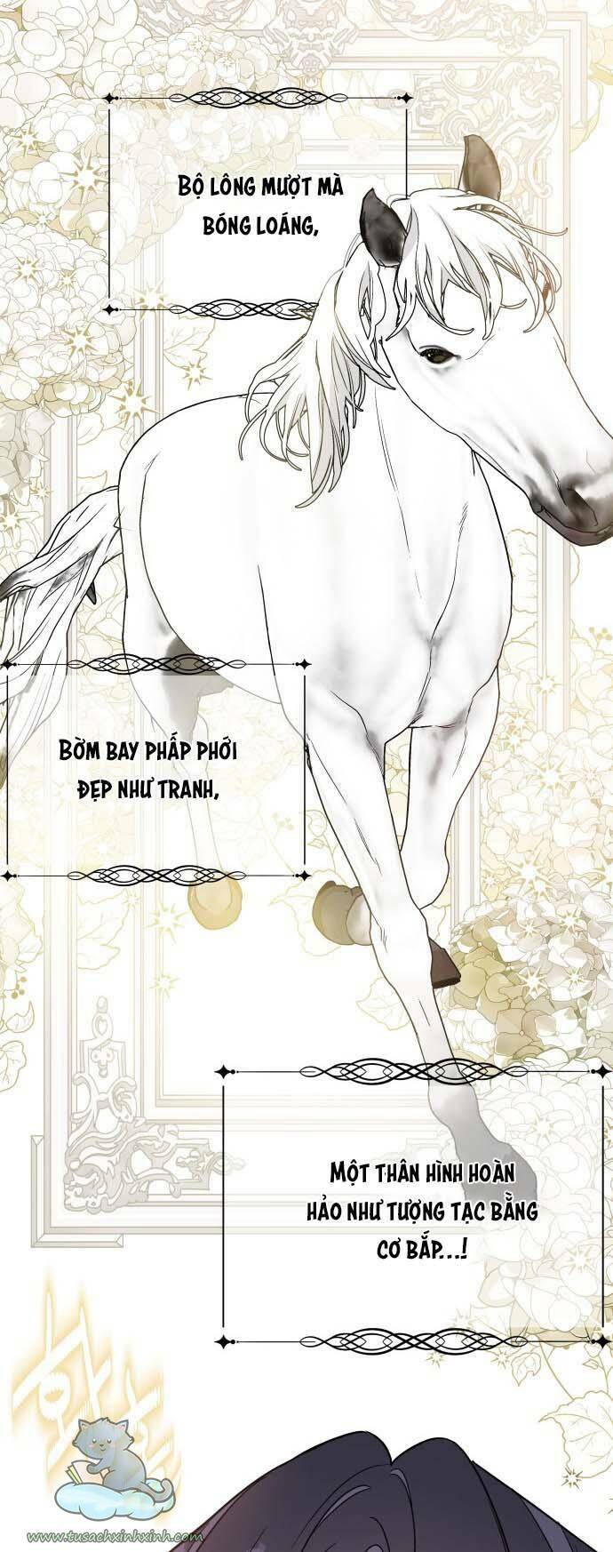 Cách Hiệp Sĩ Sống Như Một Tiểu Thư Quyền Quý: Chapter 55
