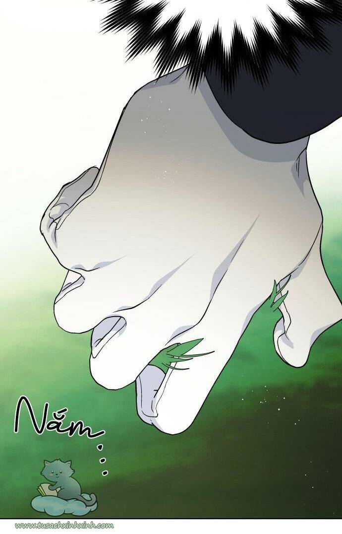Cách Hiệp Sĩ Sống Như Một Tiểu Thư Quyền Quý: Chapter 58