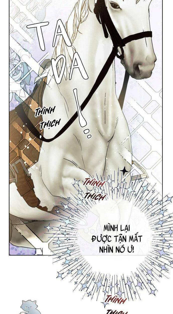 Cách Hiệp Sĩ Sống Như Một Tiểu Thư Quyền Quý: Chapter 60