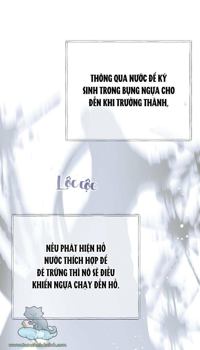 Cách Hiệp Sĩ Sống Như Một Tiểu Thư Quyền Quý: Chapter 62