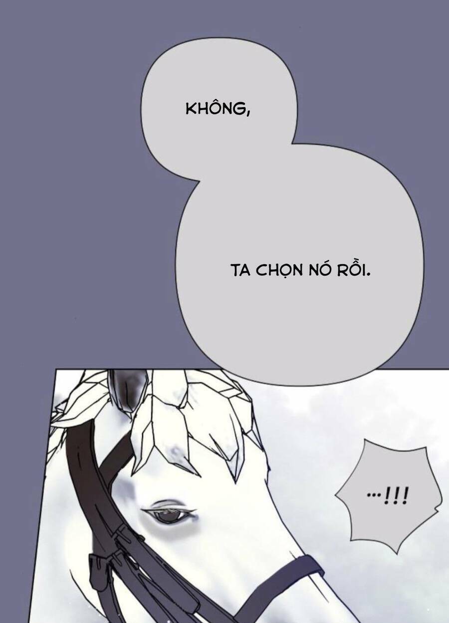 Cách Hiệp Sĩ Sống Như Một Tiểu Thư Quyền Quý: Chapter 63