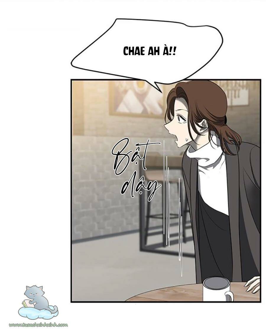 Cạm Bẫy: Chapter 111