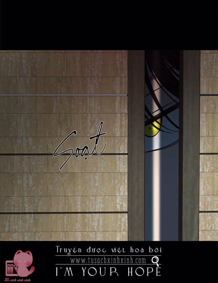 Cạm Bẫy: Chapter 153