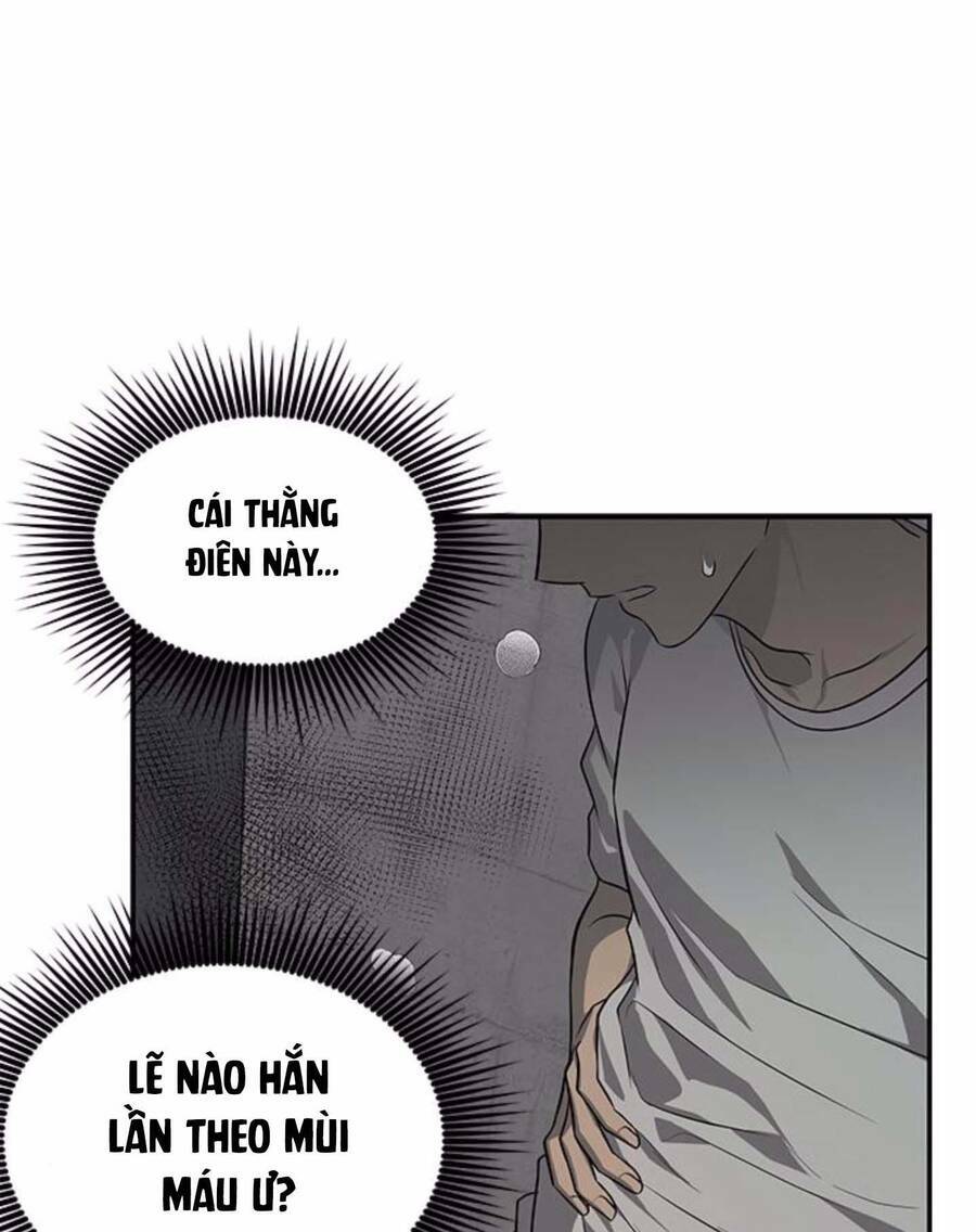Cạm Bẫy: Chapter 153