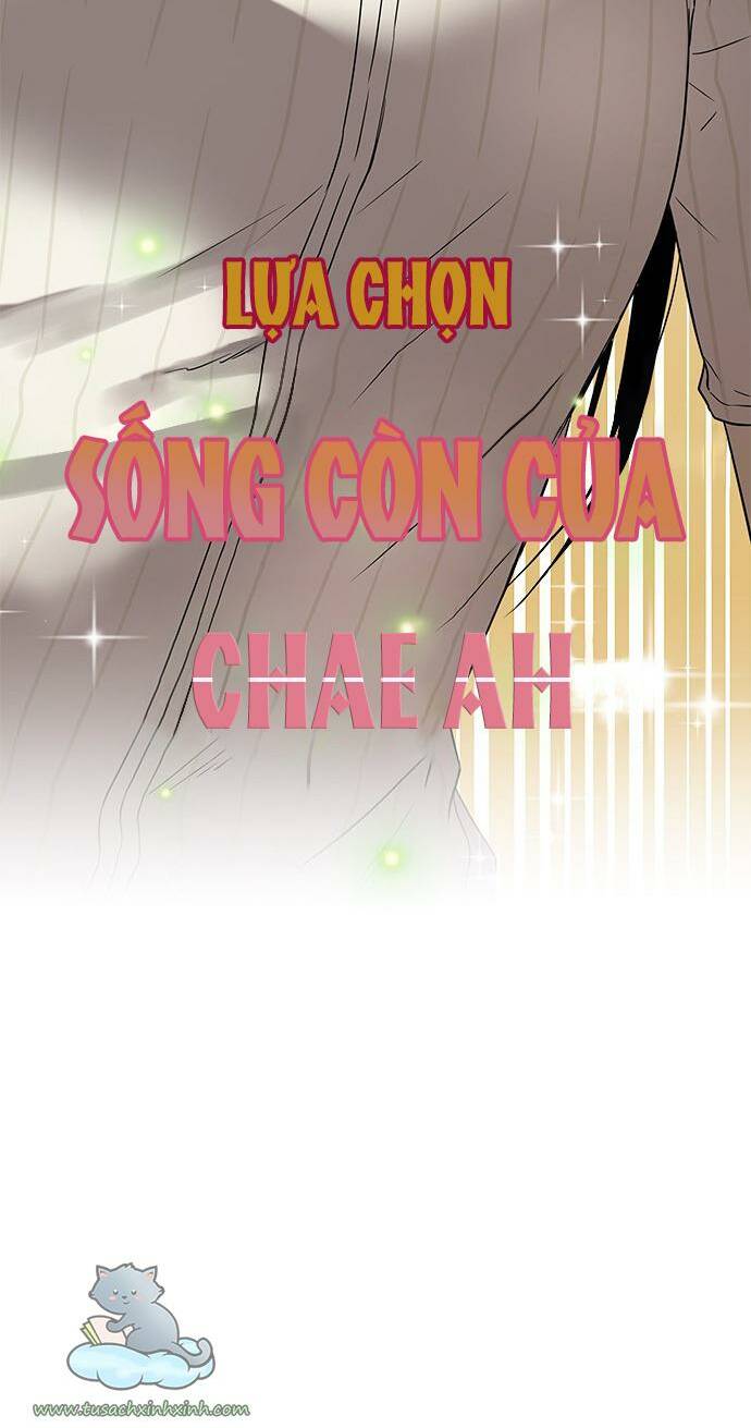 Cạm Bẫy: Chapter 44