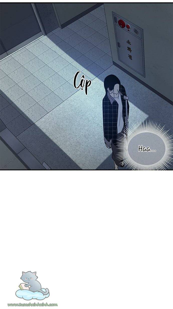 Cạm Bẫy: Chapter 52