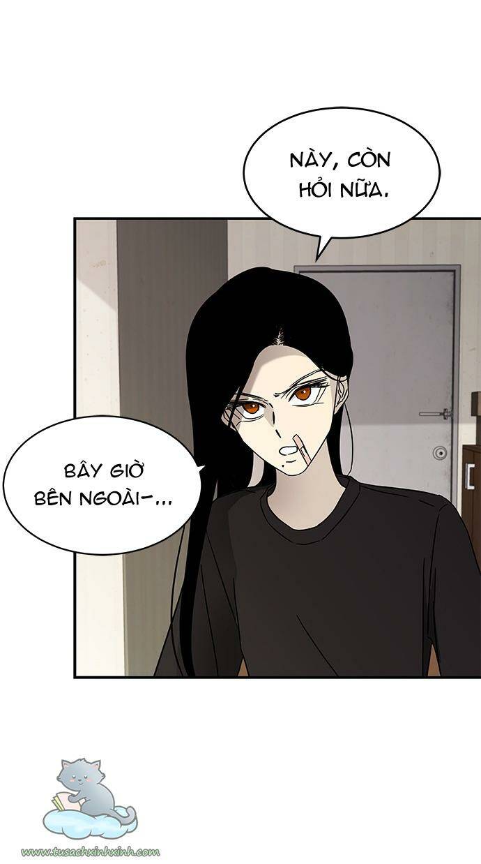 Cạm Bẫy: Chapter 60