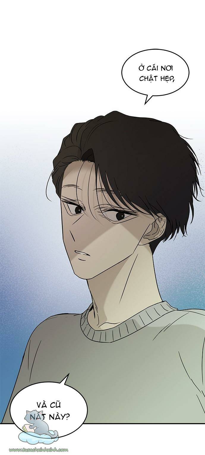 Cạm Bẫy: Chapter 60