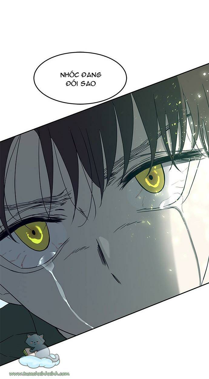 Cạm Bẫy: Chapter 61