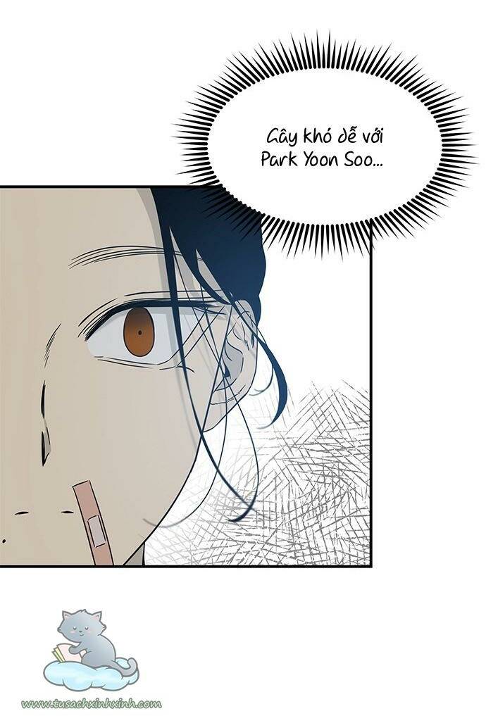 Cạm Bẫy: Chapter 61