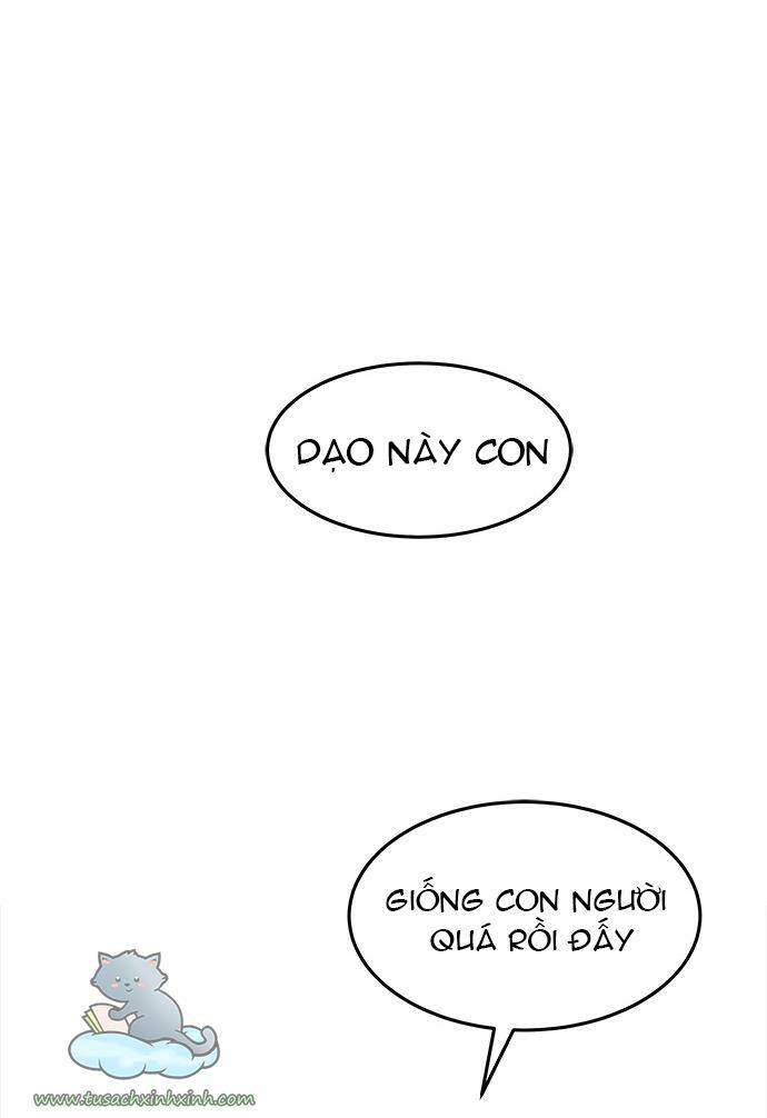 Cạm Bẫy: Chapter 62
