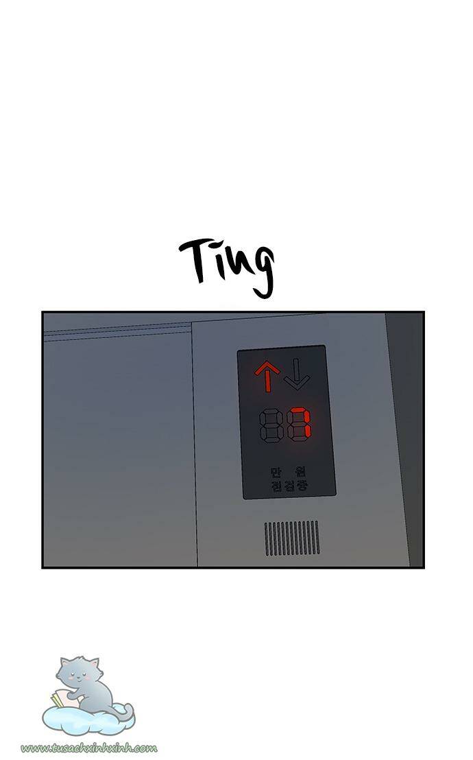 Cạm Bẫy: Chapter 62