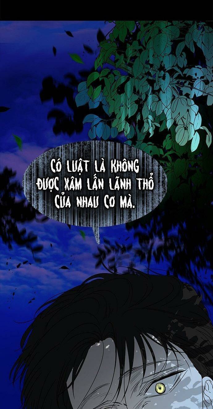 Cạm Bẫy: Chapter 65