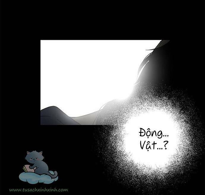 Cạm Bẫy: Chapter 65