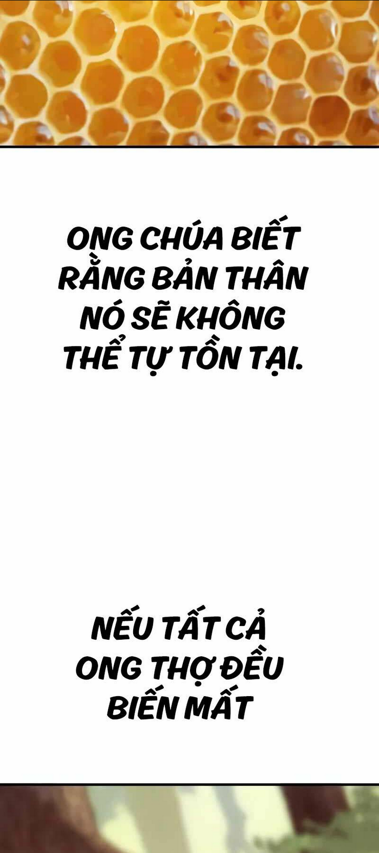 Cậu Bé Tội Phạm: Chapter 52