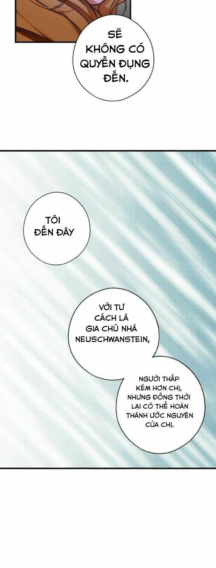 Câu chuyện cổ tích của mẹ kế: Chapter 45