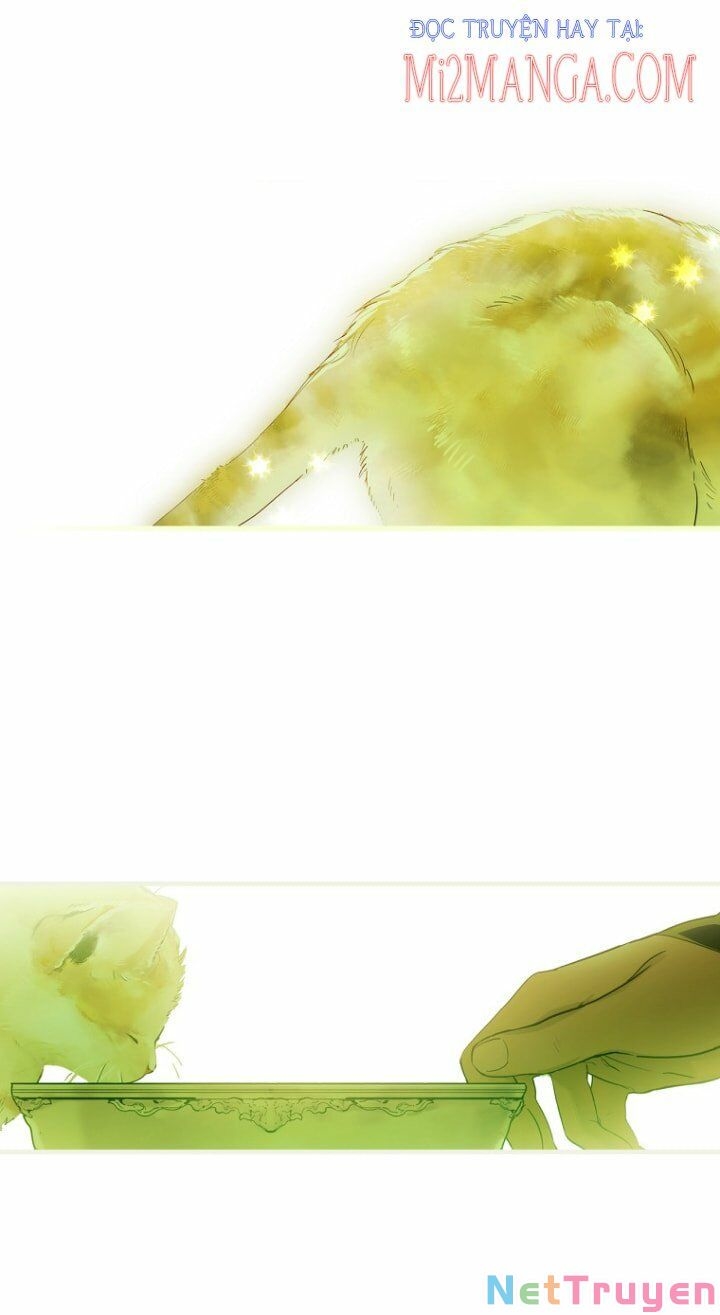 Câu chuyện cổ tích của mẹ kế: Chapter 73.5