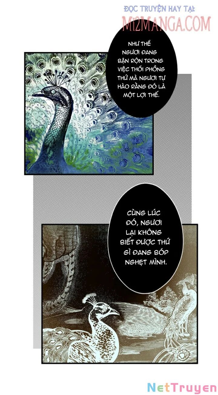 Câu chuyện cổ tích của mẹ kế: Chapter 73.5