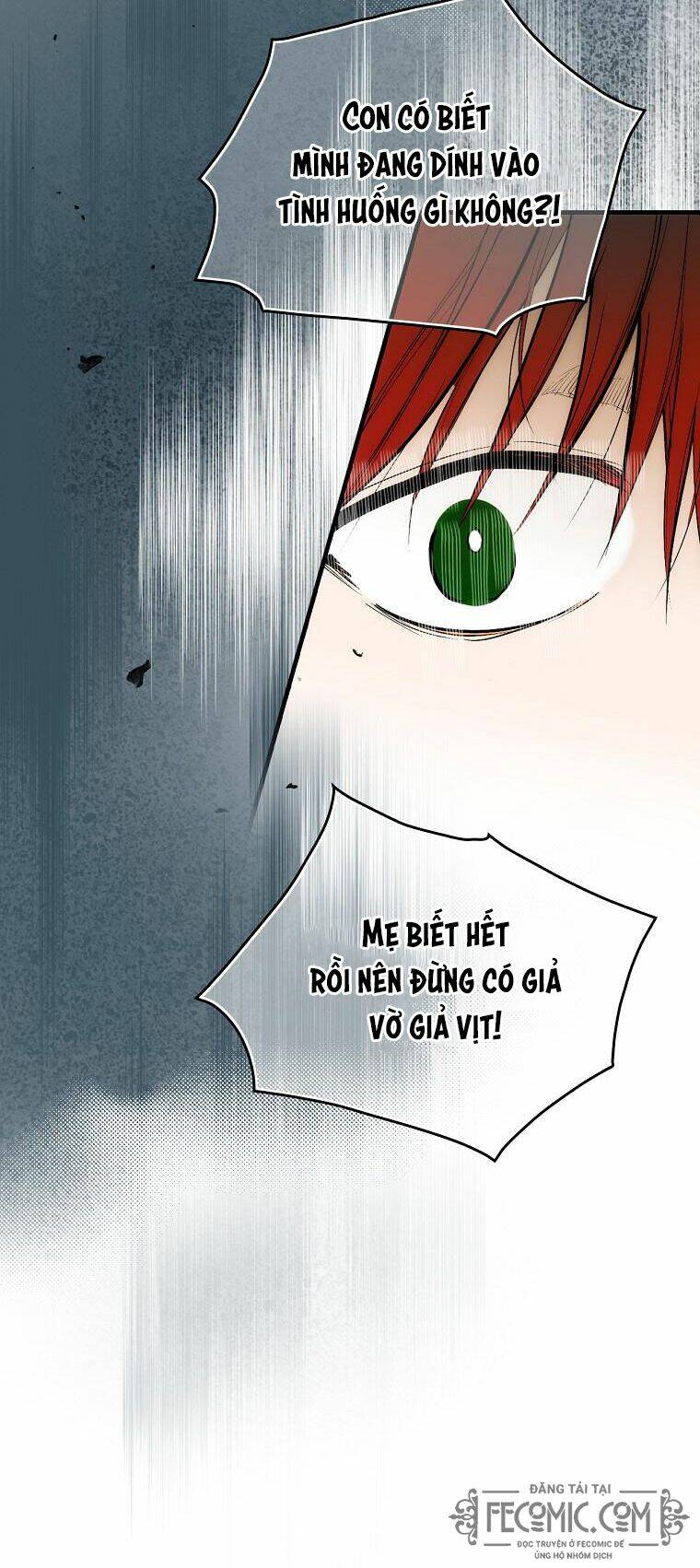 Câu chuyện cổ tích của mẹ kế: Chapter 88