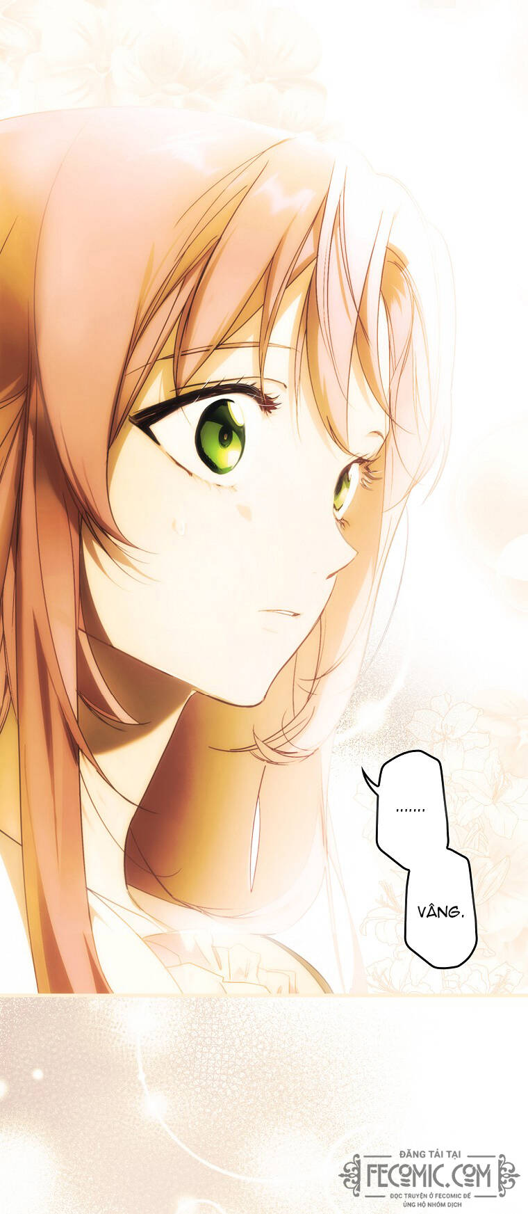 Câu chuyện cổ tích của mẹ kế: Chapter 94