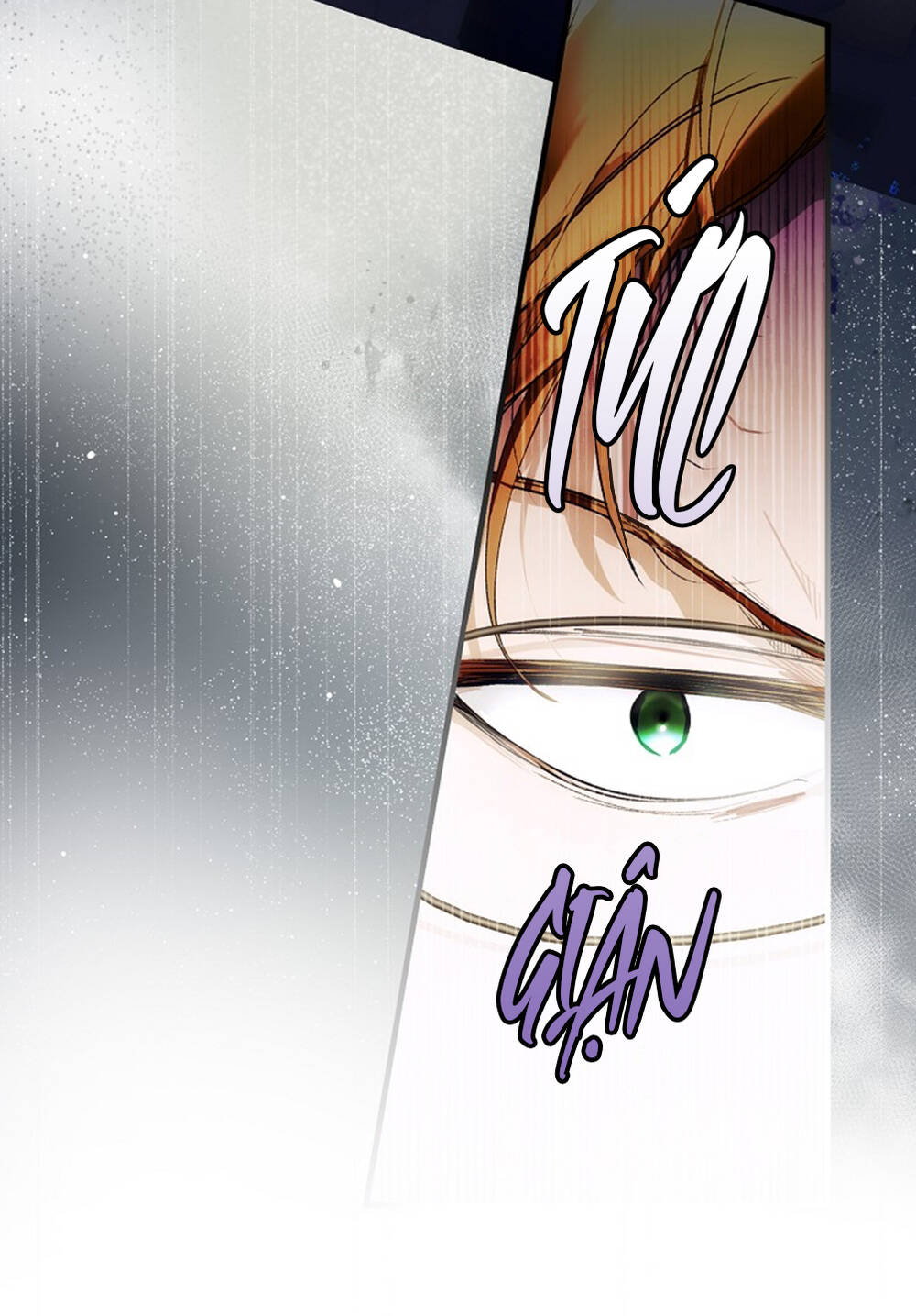 Câu chuyện cổ tích của mẹ kế: Chapter 99