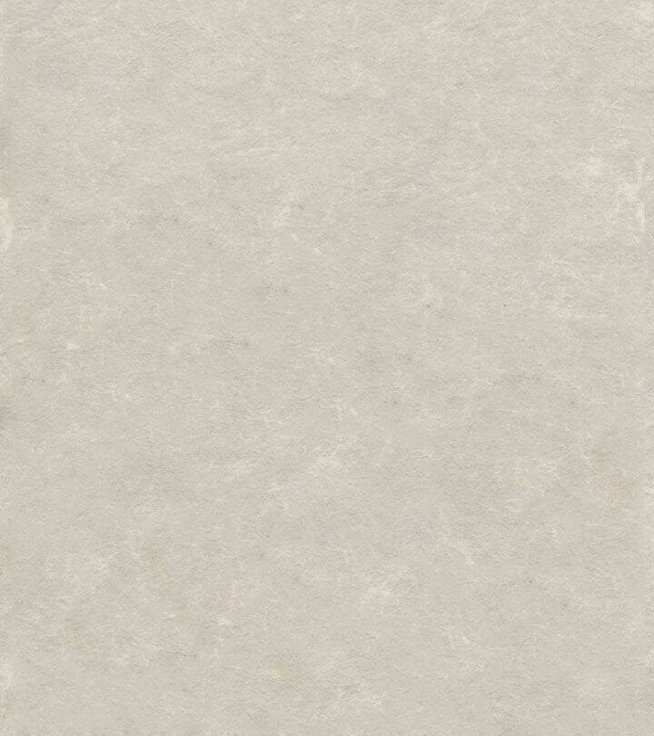 Tử Linh Sư Thiên Tài Của Học Viện: Chapter 117.2