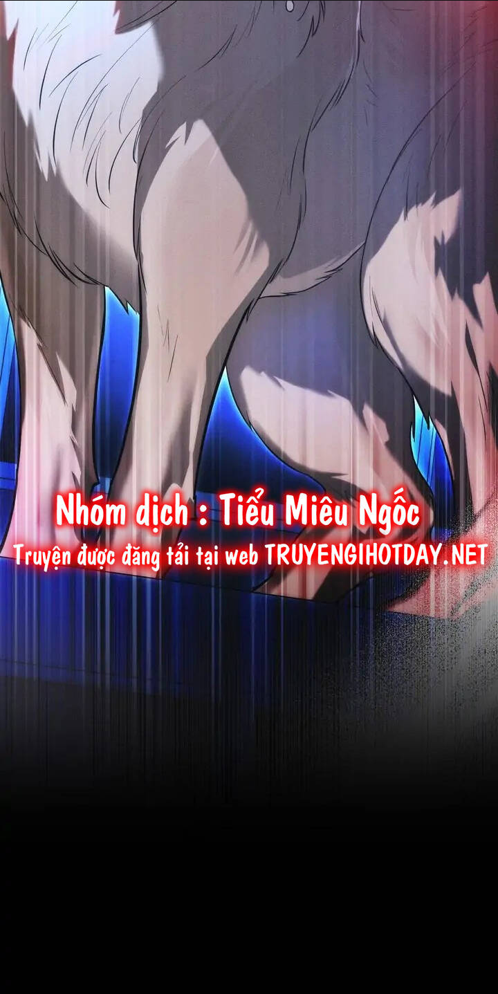 Chàng Người Sói Phát Điên Vì Tôi: Chapter 13