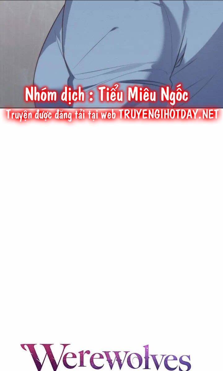 Chàng Người Sói Phát Điên Vì Tôi: Chapter 25