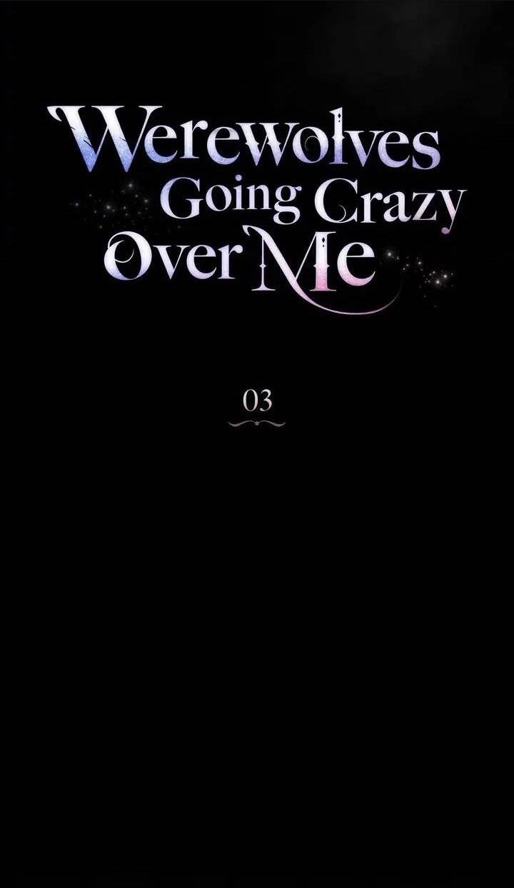 Chàng Người Sói Phát Điên Vì Tôi: Chapter 3