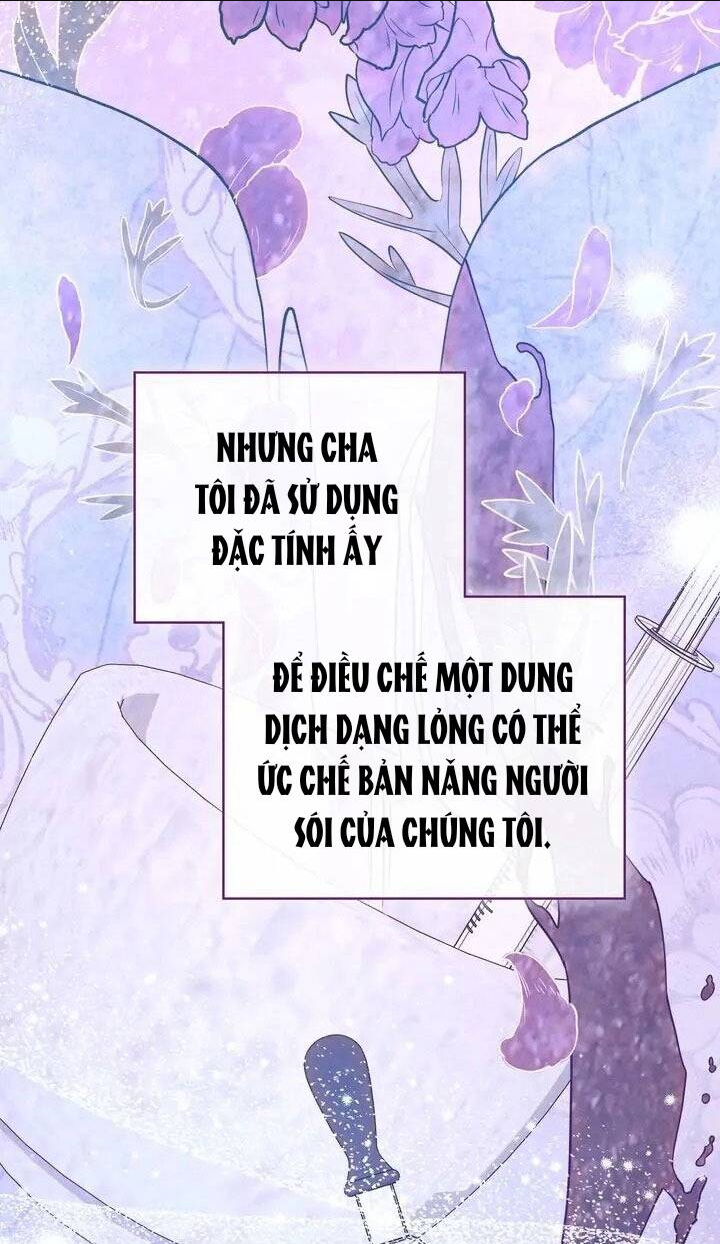 Chàng Người Sói Phát Điên Vì Tôi: Chapter 3