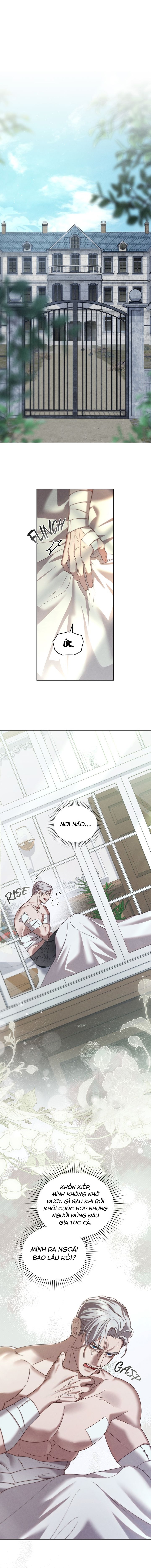 Chàng Người Sói Phát Điên Vì Tôi: Chapter 36
