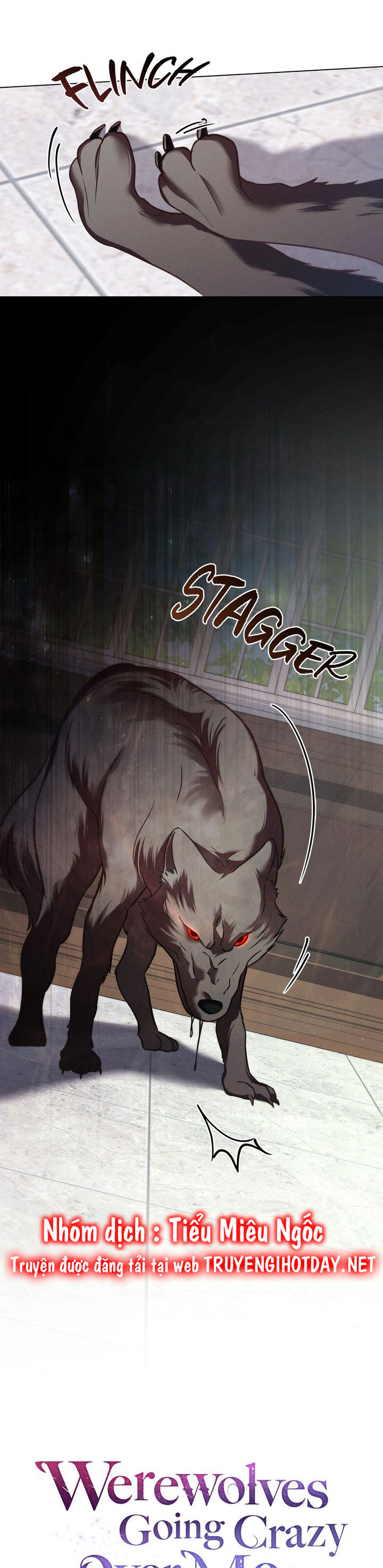 Chàng Người Sói Phát Điên Vì Tôi: Chapter 37