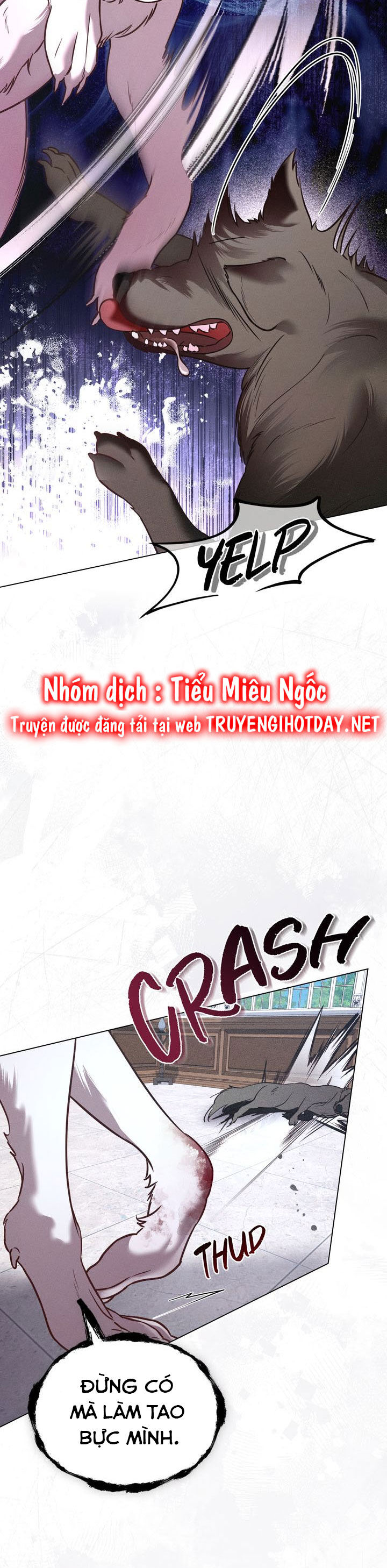 Chàng Người Sói Phát Điên Vì Tôi: Chapter 37