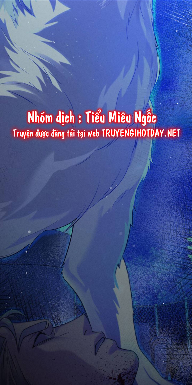 Chàng Người Sói Phát Điên Vì Tôi: Chapter 7