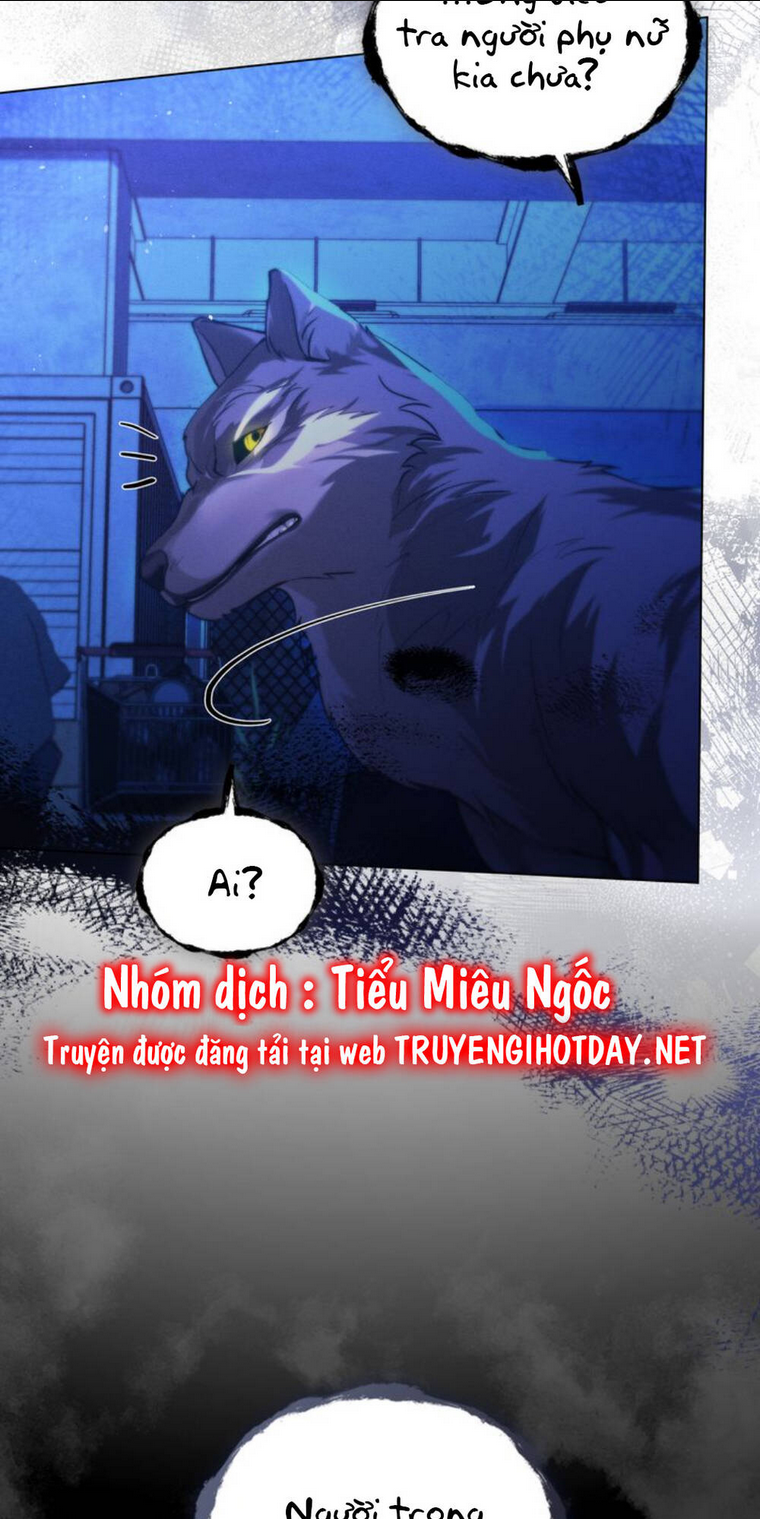 Chàng Người Sói Phát Điên Vì Tôi: Chapter 7