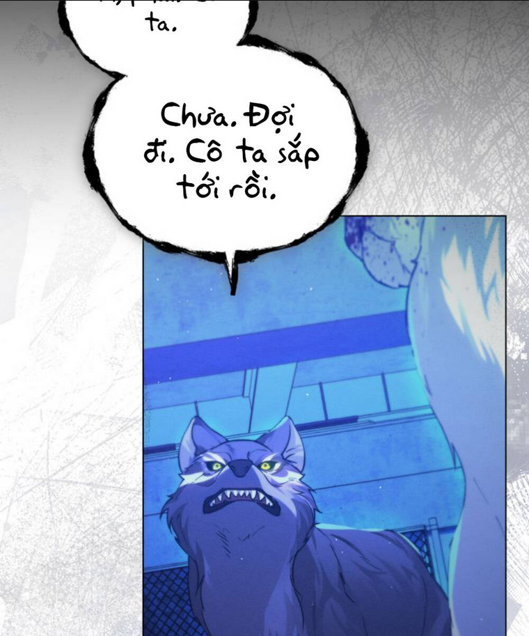 Chàng Người Sói Phát Điên Vì Tôi: Chapter 7