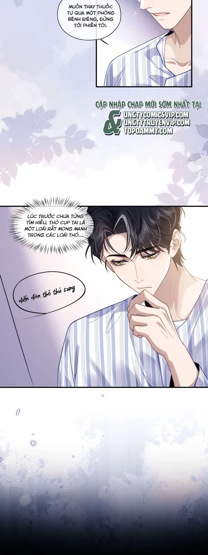 Chấp Sự Thỏ Cụp Tai: Chapter 107