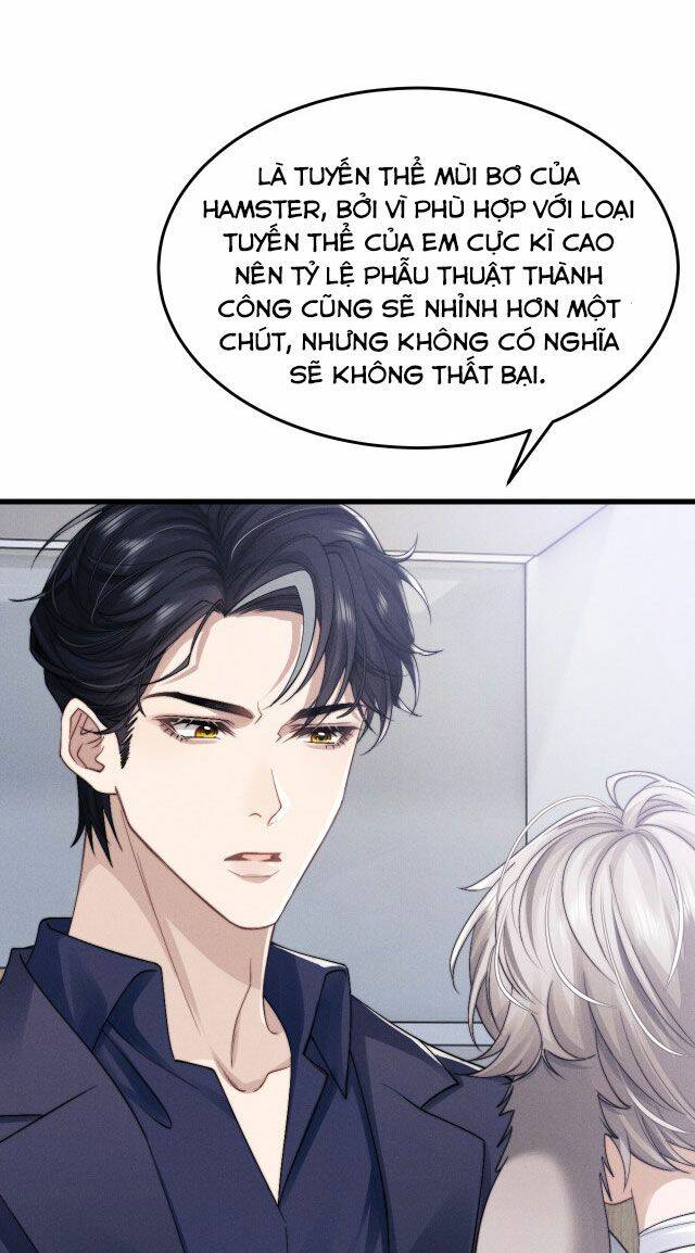 Chấp Sự Thỏ Cụp Tai: Chapter 11