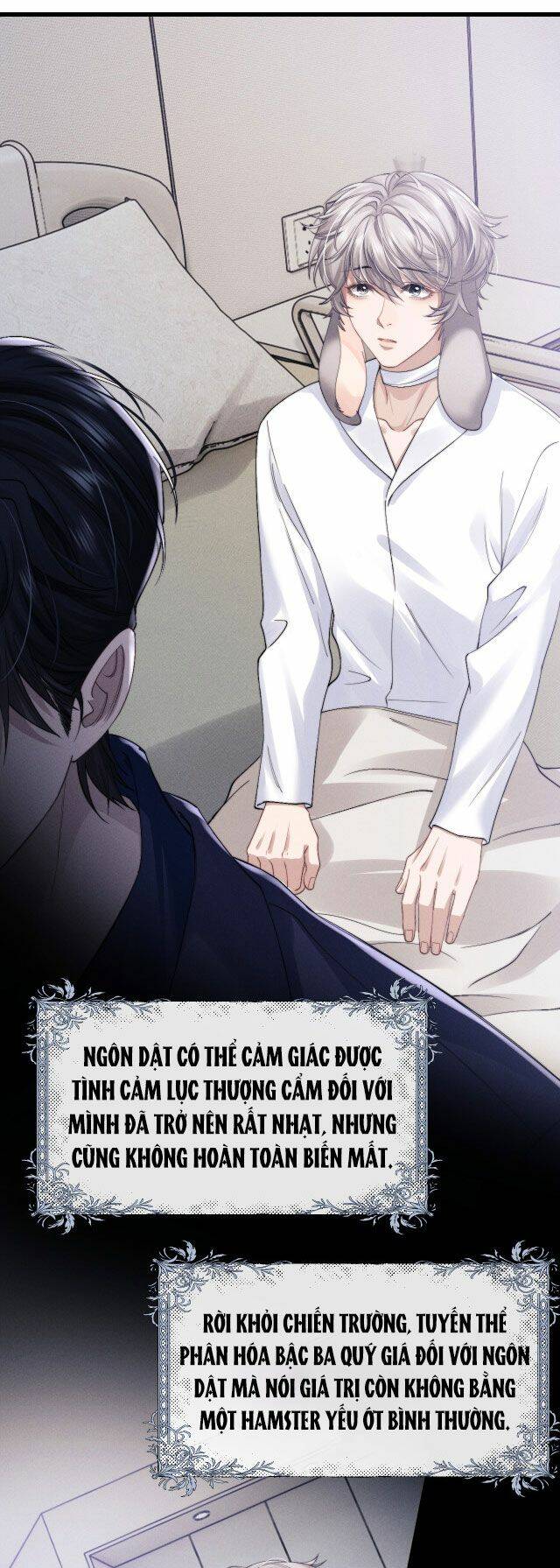 Chấp Sự Thỏ Cụp Tai: Chapter 11