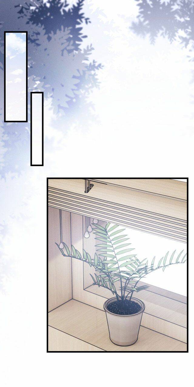 Chấp Sự Thỏ Cụp Tai: Chapter 11