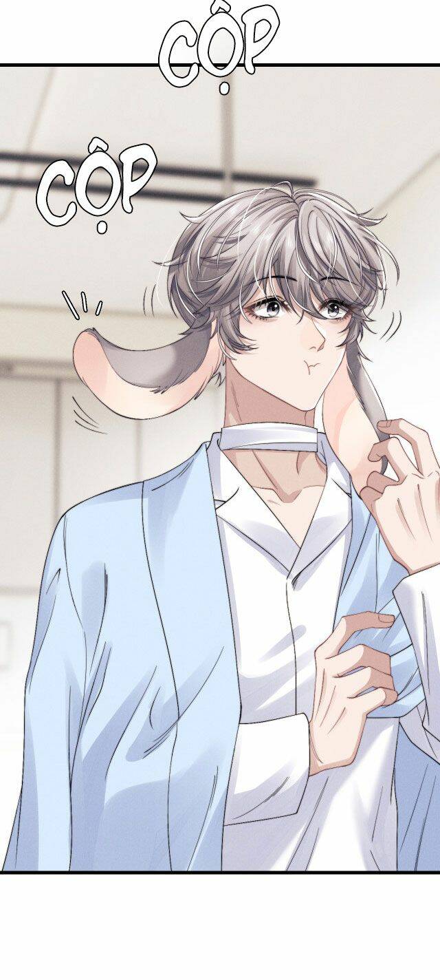 Chấp Sự Thỏ Cụp Tai: Chapter 11
