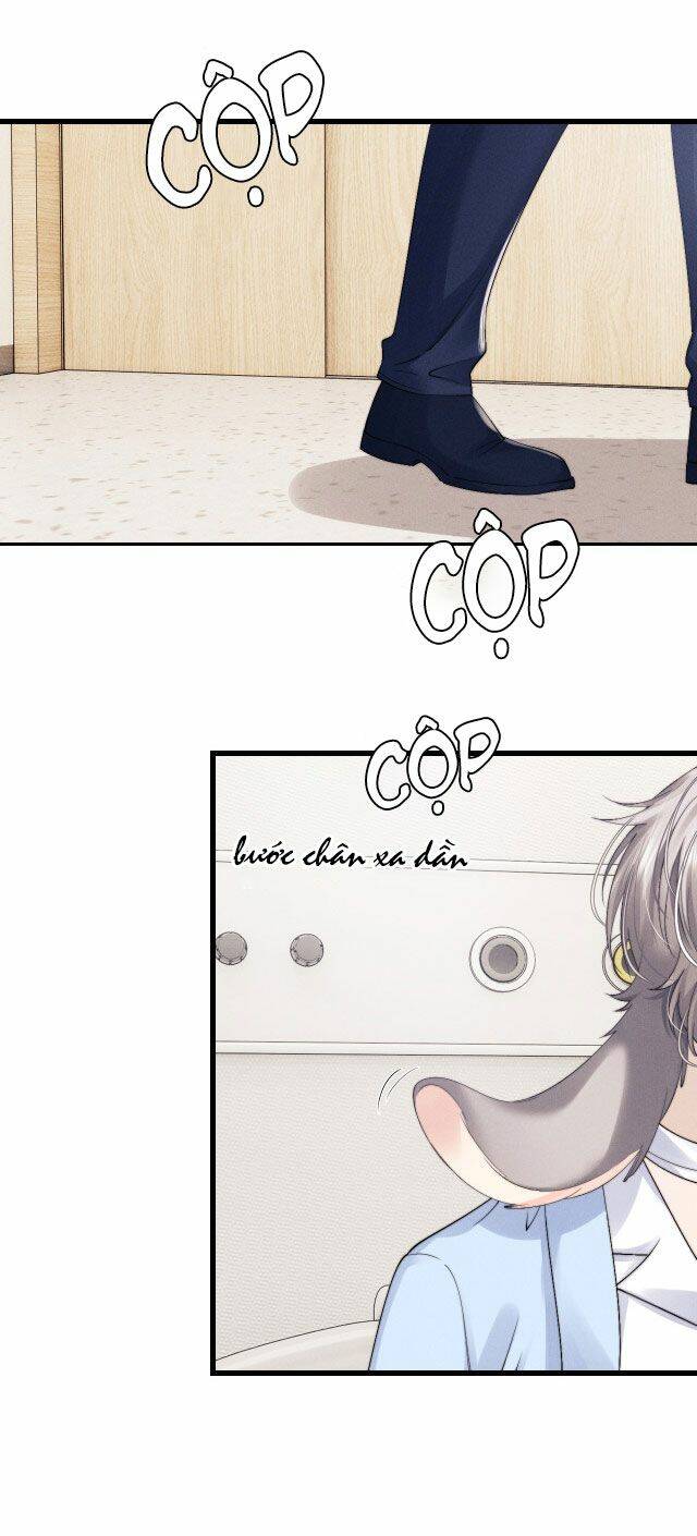Chấp Sự Thỏ Cụp Tai: Chapter 11