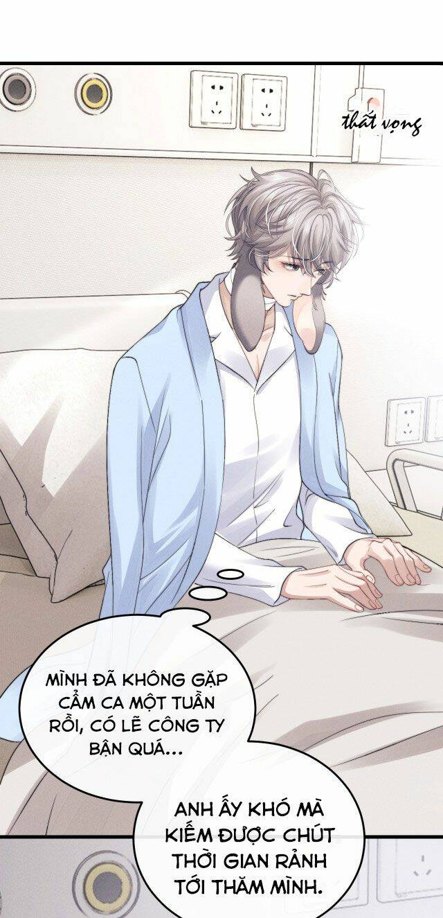 Chấp Sự Thỏ Cụp Tai: Chapter 11