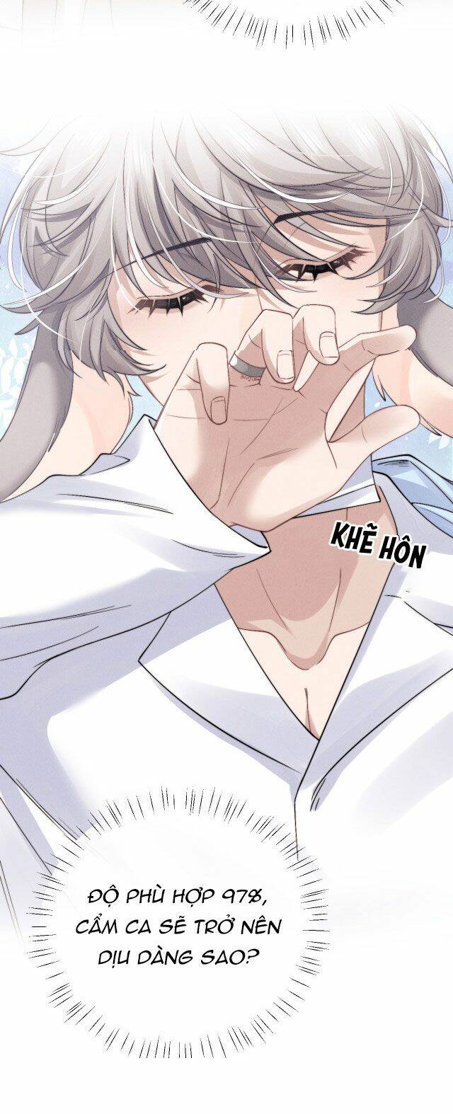 Chấp Sự Thỏ Cụp Tai: Chapter 11