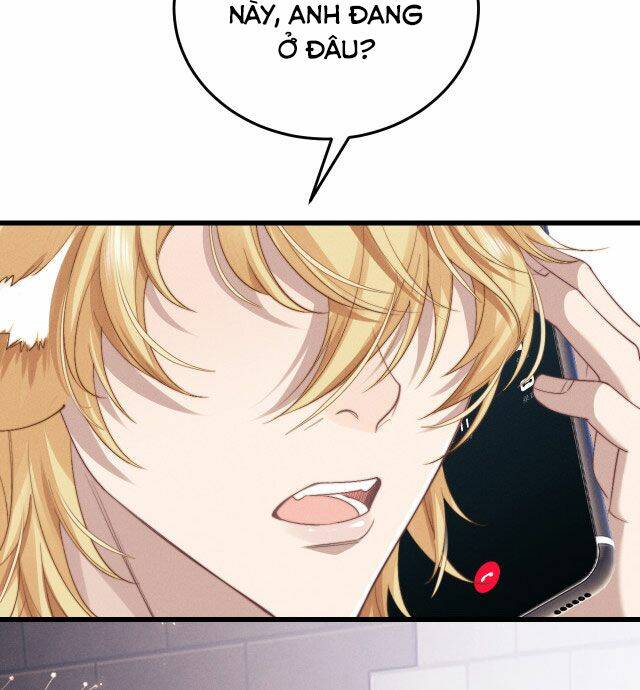 Chấp Sự Thỏ Cụp Tai: Chapter 12